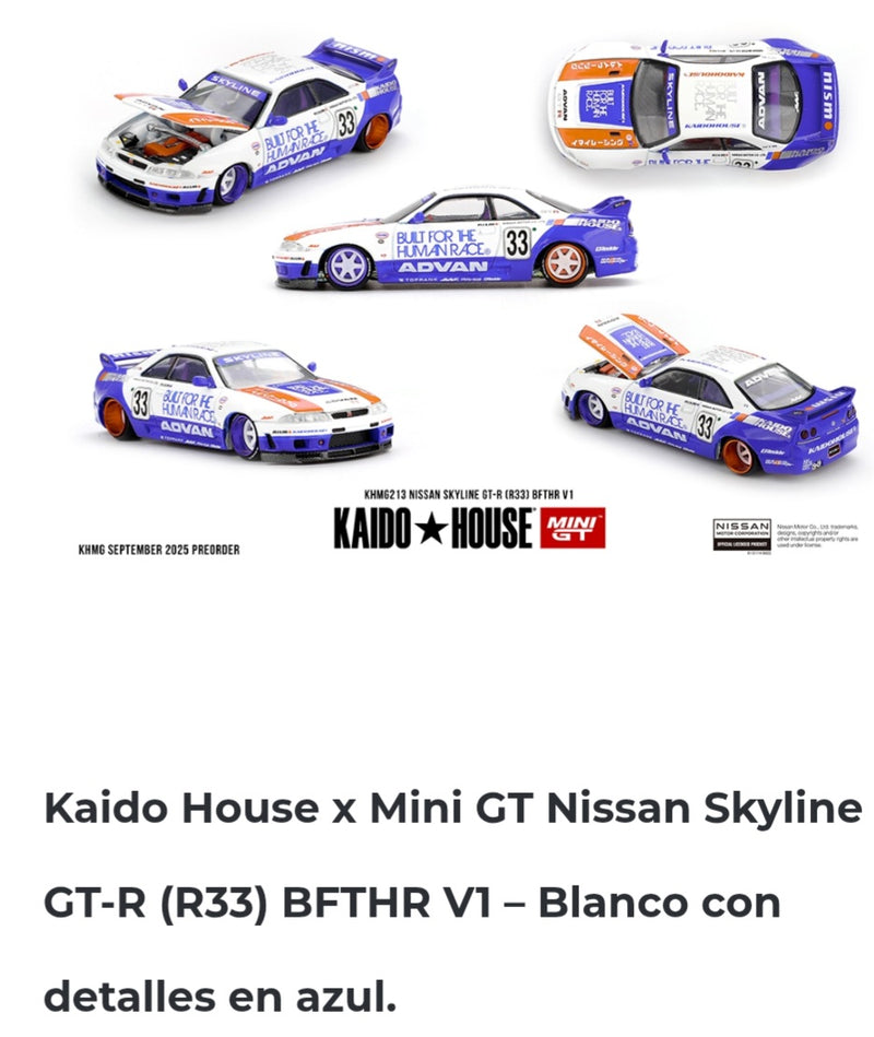 Kaido house 1.64 Nissan Skyline GT-R R33 BFTHR V1
